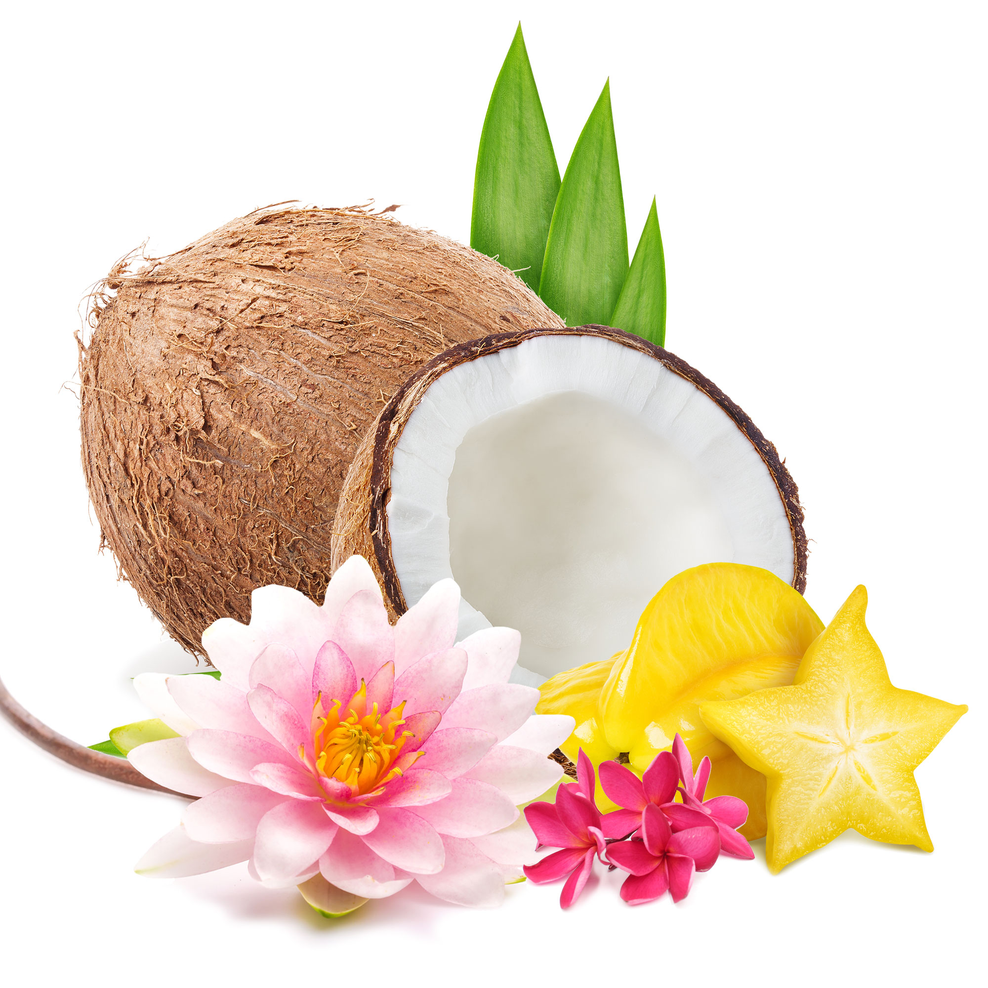 Pure Paradise Scent Ingredients